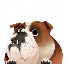 English Bulldog Sticker Decal